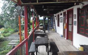 Atardecer De Salento